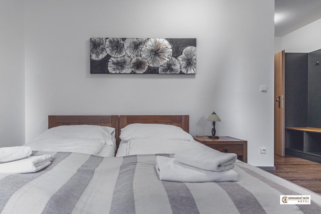 Hotel Nemojansky Mlyn Nemojany Экстерьер фото