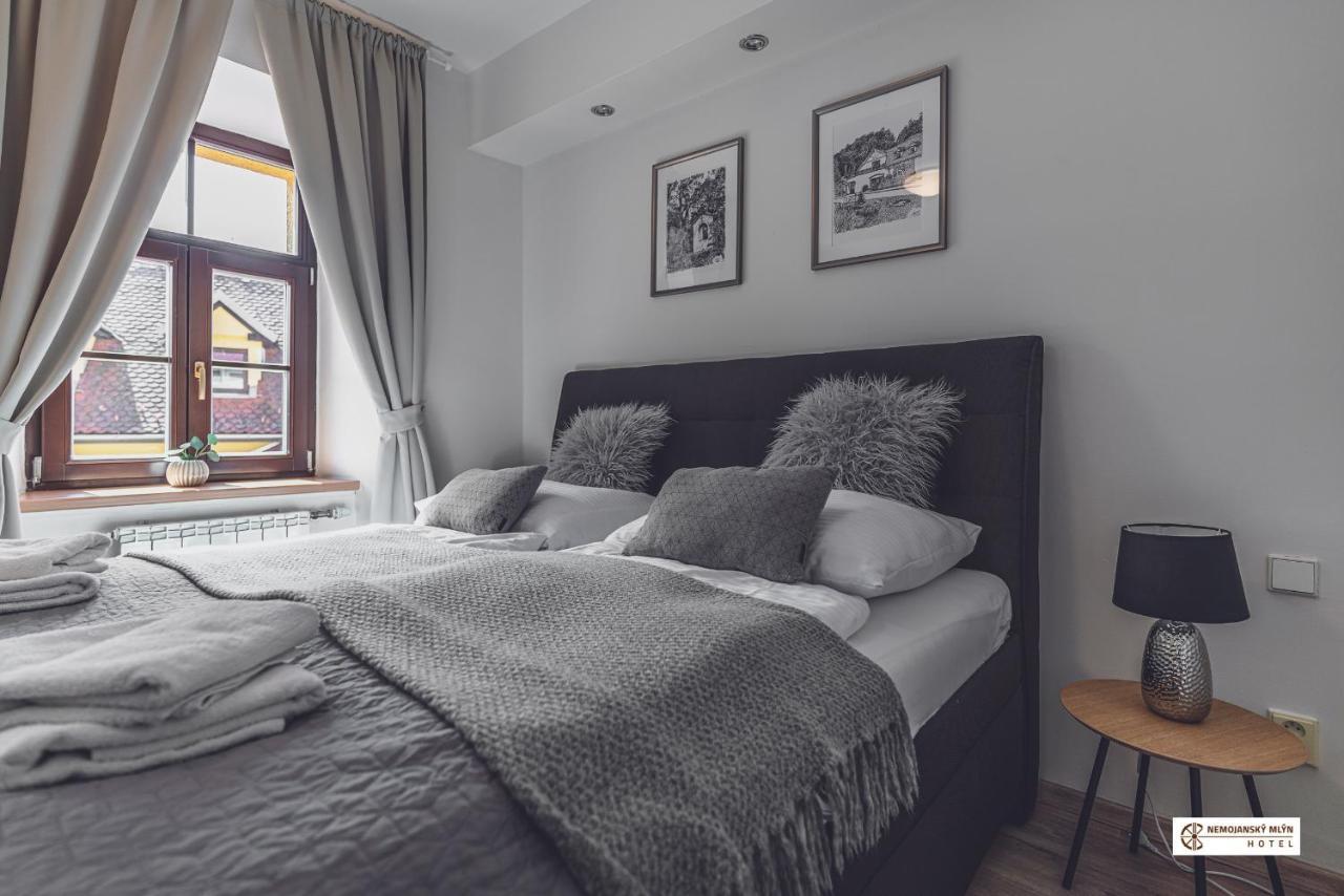 Hotel Nemojansky Mlyn Nemojany Экстерьер фото
